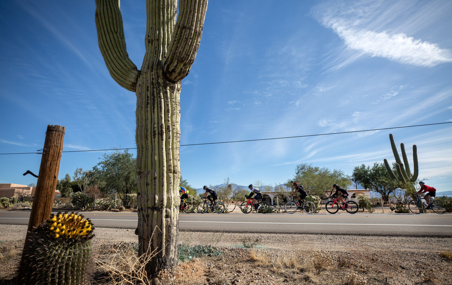 El Tour